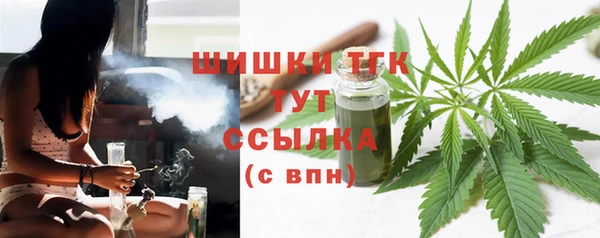 шишки Балахна