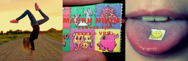 ALPHA PVP Остров