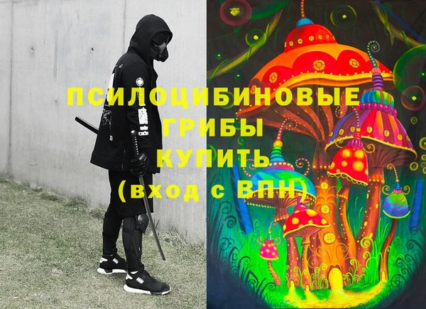 шишки Балахна
