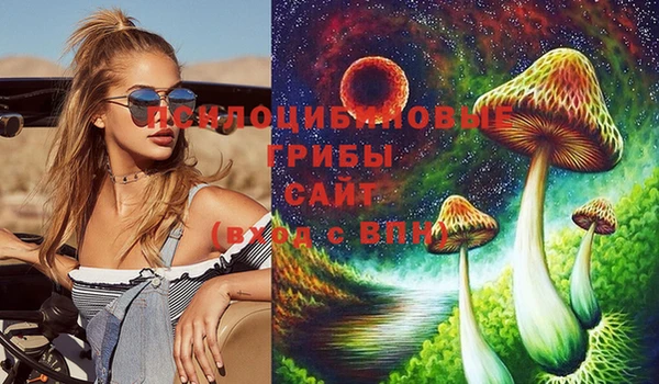 шишки Балахна
