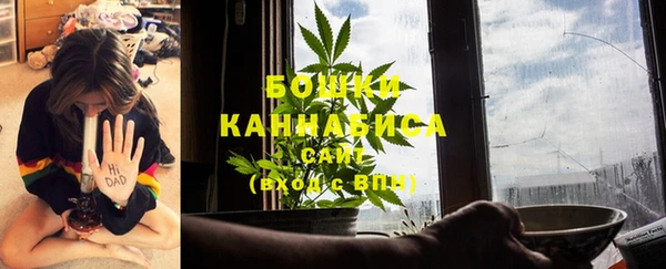 шишки Балахна