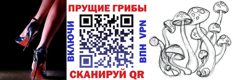 Купить закладки  Сафоново  Галлюциногенные грибы Magic Shrooms 